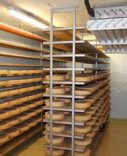 Ferme des Trontières Randogne Bild 9