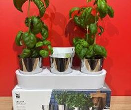 Tefal Store Marl Bild 9