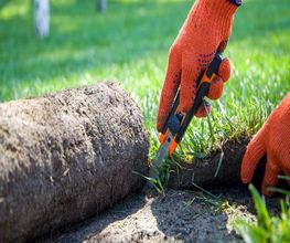 Jardiniers SAP Lorgues image 3