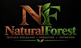 NATURAL FOREST