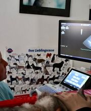 Tierklinik Leimental Bild 6