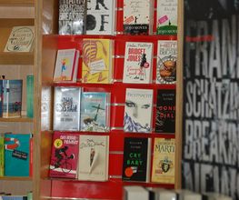 Bücher Schwalbe Bild 8