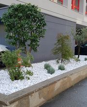 BaumGärtner - Giardini Bild 13