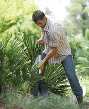 Cartetaking - Instandhaltung von Haus und Garten, Ingolstadt Bild 4