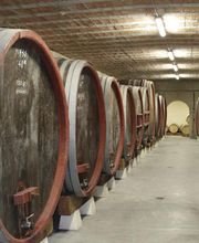 Domaine Martin image 15