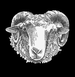 AGNEAUX DU VOLVESTRE