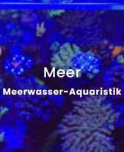 Schwimmbad & Meer GmbH Bild 2