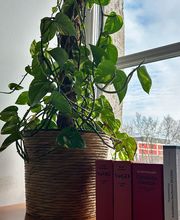 Die Kündigungsschutzkanzlei Fink & Partner Rechtsanwälte PartmbB Bild 5