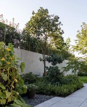 Alois Bucher und Sohn AG Bild 9