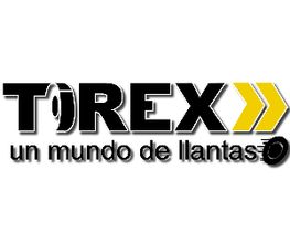 TIREX Michelin Arco Sur imagen 2
