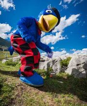 Globi Luftseilbahn Bild 3