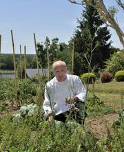 Le Coq Hardi image 4