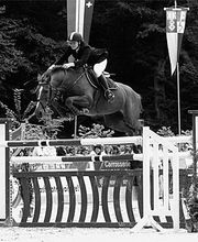 Ecurie Pollien Bild 1