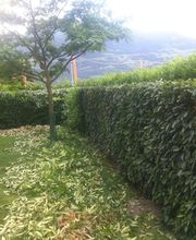 CD Paysages SA Bild 9