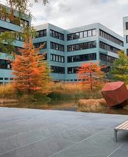 Bernet Gartenbau AG Bild 4