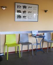 Tierarzt Bräuningshof, Die Tierischen - Zentrum für Tiergesundheit Bild 4