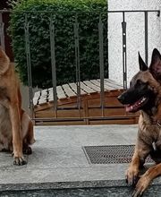 DVP Sicherheit e.K. Bild 13