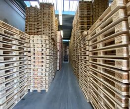 Paletten Logistik GmbH | EURO-Paletten | Palettenrahmen | gebrauchte Paletten Bild 13