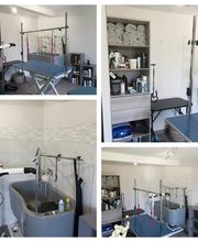 AU CHARME CANIN image 12