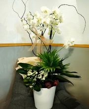 Le Quai des 4 Saisons image 15