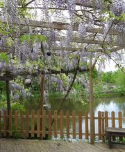 Le jardin de Saint Jean image 3