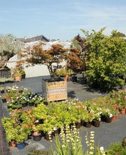 Loncle Erwan image 4