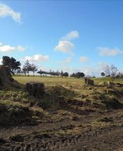 Markus Näf Baumpflege & Transporte