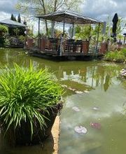 Restaurant Kastell Bild 9