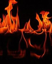 Accredited Insurance Group, Inc. image 5