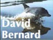 Bernard David