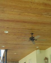 Cajun Cypress image 16