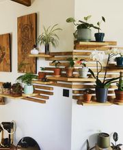 Panda d'Ebène SAS image 2