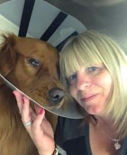 Deer Park Veterinary Hospital image 17