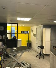 Au Look Canin image 13