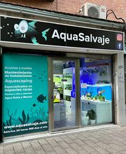 Aquasalvaje imagen 6