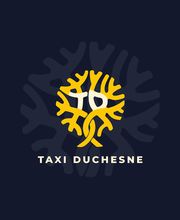 Taxi Duchesne image 3