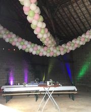 Melanie Breuer Werbetechnik / Melli's Ballon Idee Bild 5