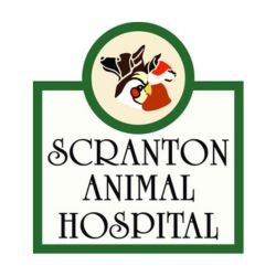 Scranton Animal Hospital