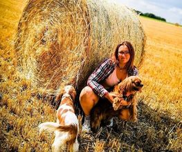 Hundezentrum Lapki Bild 5