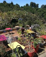 Le Contre Temps image 1