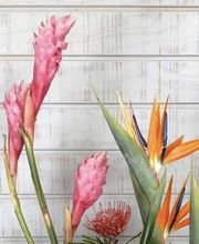 Broad Brook Gardens image 8