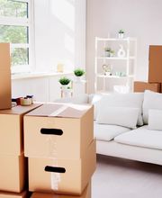 Umzüge Berlin 24 | Berlin Bild 1