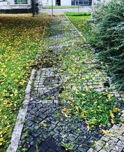 Bavaria Landschaftspflege Bild 5