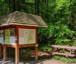 FriedWald Meroder Wald Bild 15