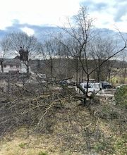 Grundstückspflege und Motorsägenkunst Colin Sand Bild 4