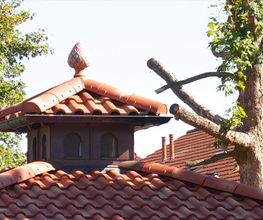 R & P Dachbau Bild 1