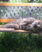 Les Moustaches en Vacances image 9