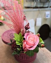 Blumen Habitus, Regula Elmer Bild 2