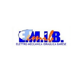 E.M.I.B. logo