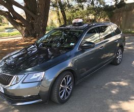 LC Taxi image 1